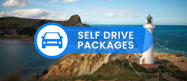 Self Drive Packages